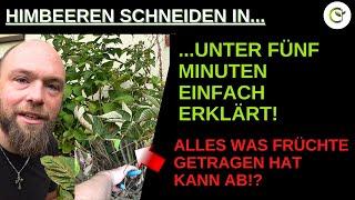 Himbeeren schneiden in unter 5 Minuten einfach erklärt!