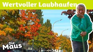 Was passiert mit dem Herbstlaub? | DieMaus | WDR