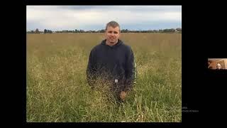 Growing Switchgrass