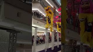Pre-CNY 2025 - Acrobatic Southern & Northern #LionDance by 龙狮情义 at The Gardens Mall
