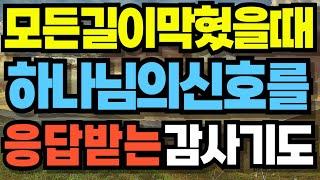 모든길이 막혔을때 하나님의 신호를 받으며 응답받는 감사의기도문┃당신은 잘되도록 예정되고 계획되어 있습니다┃하나님이 나와 어떻게 만나는지 알 수 있습니다┃오늘하루 이렇게 기도하세요