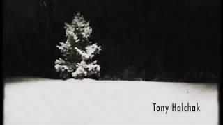 Tony Halchak  - A Place To Call Home (Lyric Video)