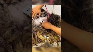 Почему люди такие жестокие? 