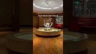 10 INCREDIBLE Features of The Emirates Business Class Lounge In Dubai Airport DXB | Lounge Guru