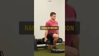 Hip Strengthening Exercises (Rehab & Training) #shorts