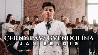 Jan Bendig - ČERNÝ PÁV & GVENDOLÍNA