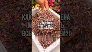 Невероятно красивый набор семян с цветами #wildberries