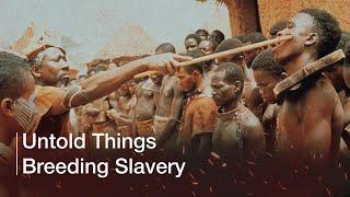 Untold Things Breeding Slavery