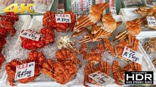  Let's Visit Nijo Market (二条市場) In Sapporo, Hokkaido | HUGE Crabs & Seafood Paradise