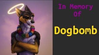 In Memory of Dogbomb