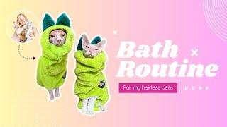 Sphynx Bath Routine!