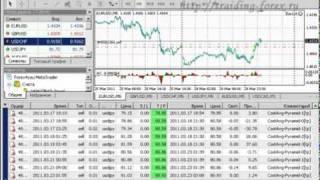 Лучший Советник Forex! - 192% за 50 Рабочих Дней!