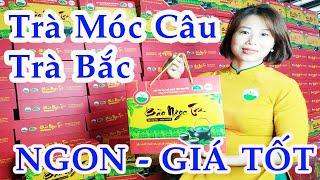 Trà Móc Câu | Trà Bắc | HTX Trà Xanh Thái Nguyên