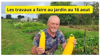 Que faire au 16 août au jardin ? Mes conseils pour vous aider