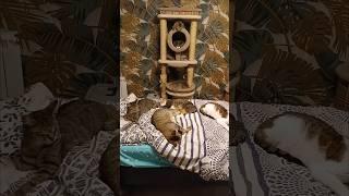 Второй вечер в новой квартире.