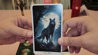 The Red Fairy Tarot Deck Unboxing and Mini Reading 