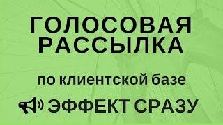 Как сделать голосовую рассылку (автоматический обзвон). 8 800 505 92 11