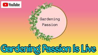 Gardening Passion is live |Talk about gardening tips and care 10dec24 live1