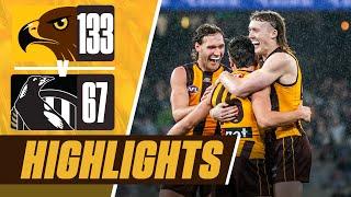 Hawthorn v Collingwood | Match Highlights - Round 19, 2024