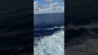 Cove Balcony on 2nd floor on Carnival Magic #carnivalmagic