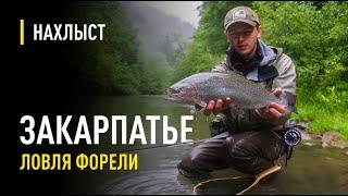 Ловля форели на стримеры в Закарпатье /  Fly fishing with streamer in Carpathians river