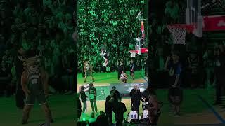 Trampoline + March Madness = Crazy Highlights! 