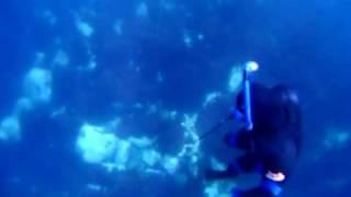 Spearfishing Trigger fish in Azores