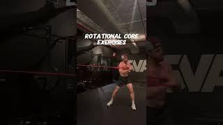 Rotational Core Exercises You Should Try!