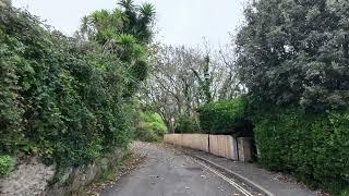 Bird watching around Ventnor: Bath Rd