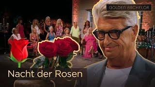 WER muss gehen?  Diese Damen bekommen KEINE ROSE  | Golden Bachelor