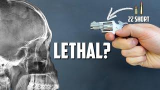 NAA Mini Revolver - How Lethal Is It??