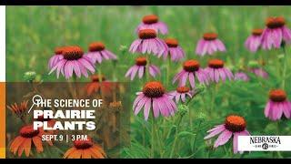 Science of...Prairie Plants