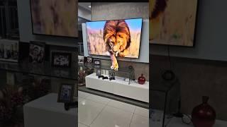 The Lion came out of the TV.  #funny #trending #memes