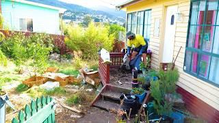 She was "GOING TO FIX"  this GARDEN CATASTROPHE!