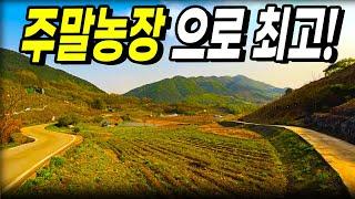 농막, 주택, 주말농장으로 사용하기 적합한 토지! 살미역사와도 근접합니다! - (땅보스TV , 협동부동산)