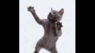 KRAZY KATS