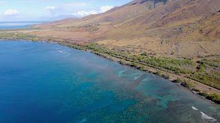 Mile Marker 14 - Reefs at Olowalu - 4K Drone Video - Maui, Hawaii - March 6, 2021 - DJI Mavic Air 2