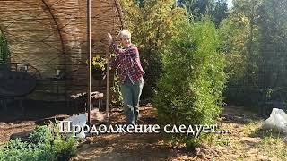 Мотивационное видео. Создаём демо-сад.