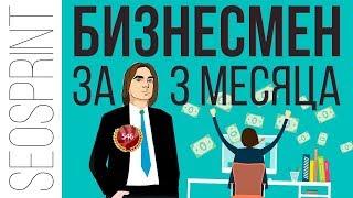 Сеоспринт - бизнесмен за 3 месяца. Сколько можно заработать на Seosprint