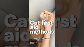 Cat first aid method #catshorts #cathealth #ytcat #catmom #catlover #catvideos