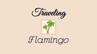 What is Traveling Flamingo?  Our Channel Trailer