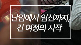 난임에서 임신까지, 긴 여정의 시작