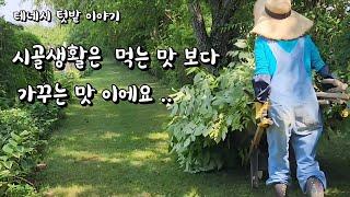 [미국 테네시]   시골생활은 이런맛 아닌가요? 두릅나무 자르고 태우고 텃밭채소 수확 #테네시 #시골풍경 #시골생활