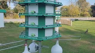 PURPLE MARTIN BIRDHOUSES ARE ALL READY FOR THE SPRING OF 2025, THAT IS, "GOD WILLING!" AMEN!!