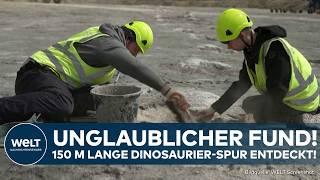 GROßBRITANIEN: 200 Dinosaurierspuren entdeckt – 160 Millionen Jahre alte Abdrücke in Oxfordshire!