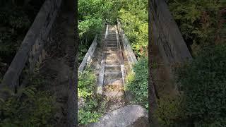 Steps