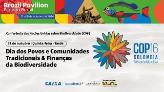 Espaço Brasil COP 16 — 31/10 — Tarde: PCTs e Finanças de Biodiversidade