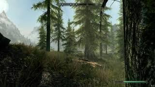 skyrim