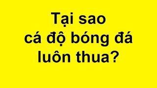 Tại sao cá độ bóng đá luôn thua?