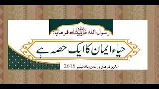 Allama Hafiz Bilal Qadi | islam with aisha | ch rafiq paswal